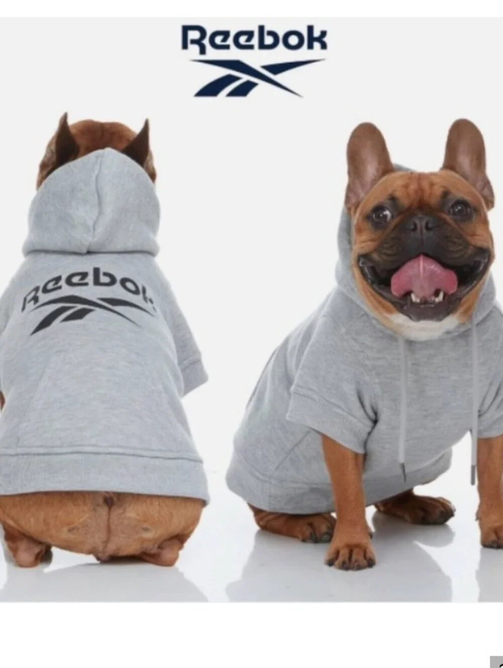 Reebok Gray Medium Cotton Dog Hoodie Sweatshirt Shirt